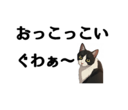 850141878