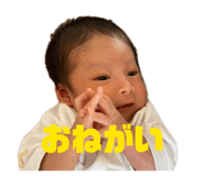 850146163