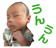 850146549