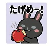 850146850