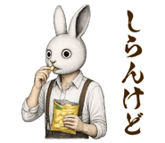 850148557