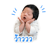 850164308
