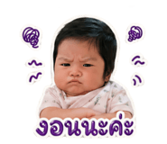 850164328