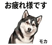 850165754