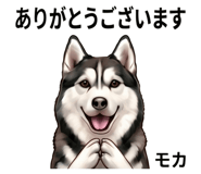 850165755