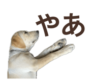 850180308