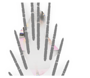 850181726