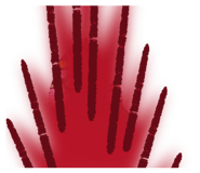 850181729