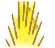 850181730