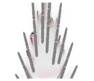 850181733