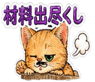 850185038
