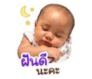 850196210