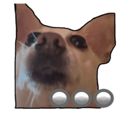 850202879