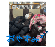 850211377