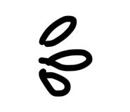 850211902