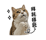 850242654