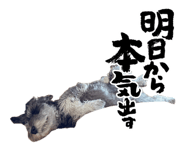 850245653