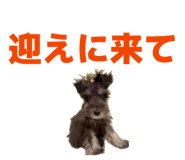 850245655