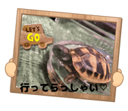 850246492
