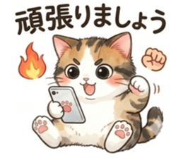 850248871