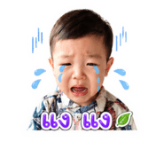 850251675