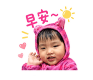 850253329