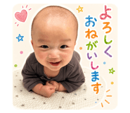 850256541