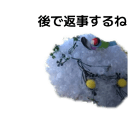 850258562