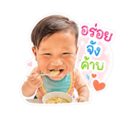 850260113