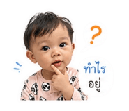 850262908