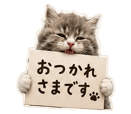 850267197
