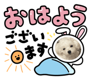 850270782