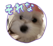 850270784