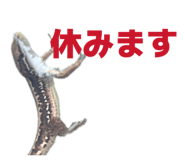 850277810