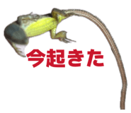 850277814