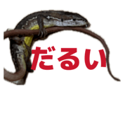 850277815