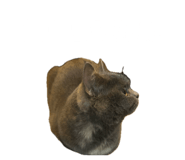 850277876