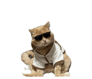850277885