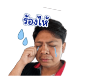 850280558