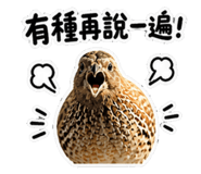 850284050