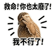 850284985