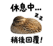 850284997