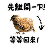 850285001