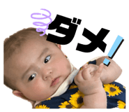 850286384