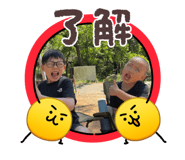 850286677