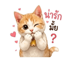 850288278