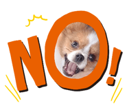 850291772