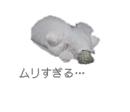 850292707