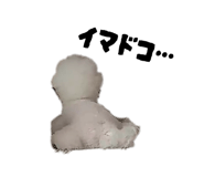 850292708