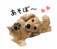 850295154
